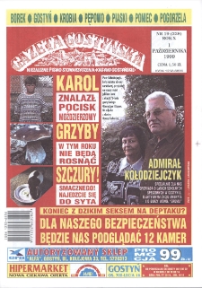 Gazeta Gostyńska 1999 R.10 Nr 19(228)