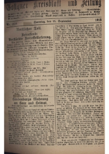 Gostyner Kreisblatt und Zeitung 1918.09.15 Nr 209
