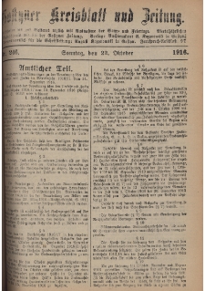 Gostyner Kreisblatt und Zeitung 1916.10.22 Nr 246