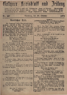 Gostyner Kreisblatt und Zeitung 1917.10.30 Nr 249
