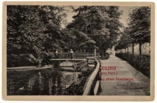 Fragment założenia parkowego przy placu Tadeusza Kościuszki, około 1920 r